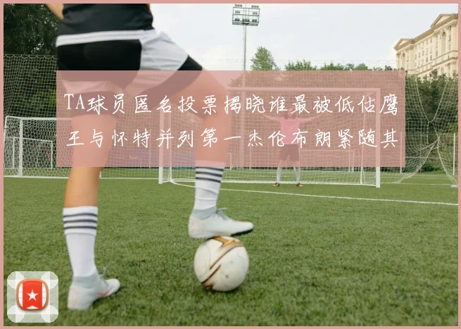 TA球员匿名投票揭晓谁最被低估鹰王与怀特并列第一杰伦布朗紧随其后